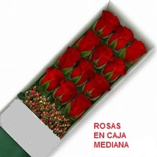 Box of 12 medium roses